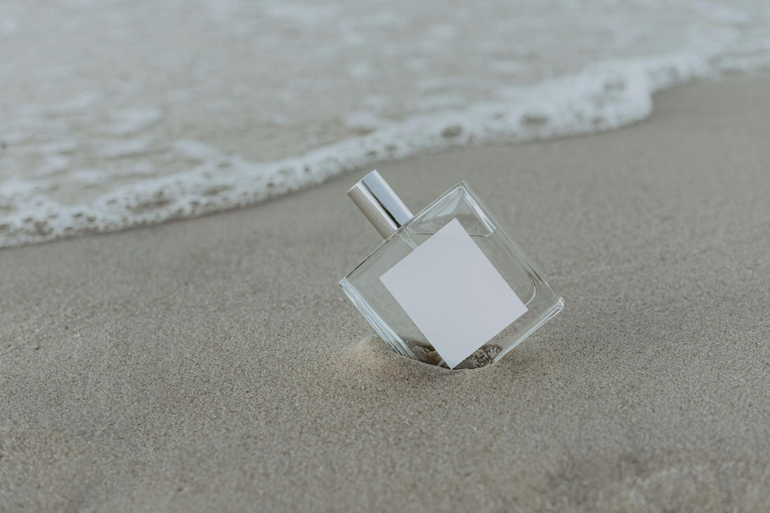What Is a Reed Diffuser? Benefits of Natural Aromatherapy for Home and Office