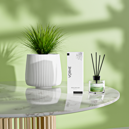 Vorne Lemongrass Reed Diffuser | Fresh Citrus Natural Room Freshener